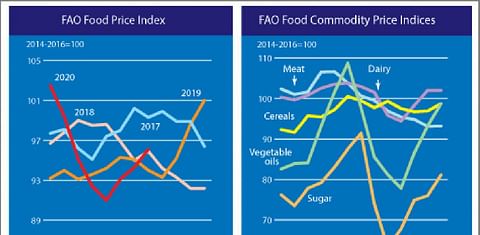 The FAO Food Price Index hits a six-month high