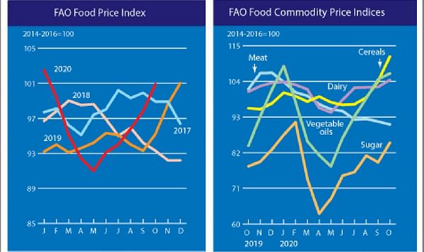 FAO Food Price Index continued its upward trend in October