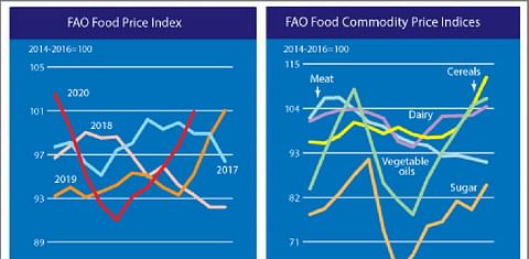 FAO Food Price Index continued its upward trend in October