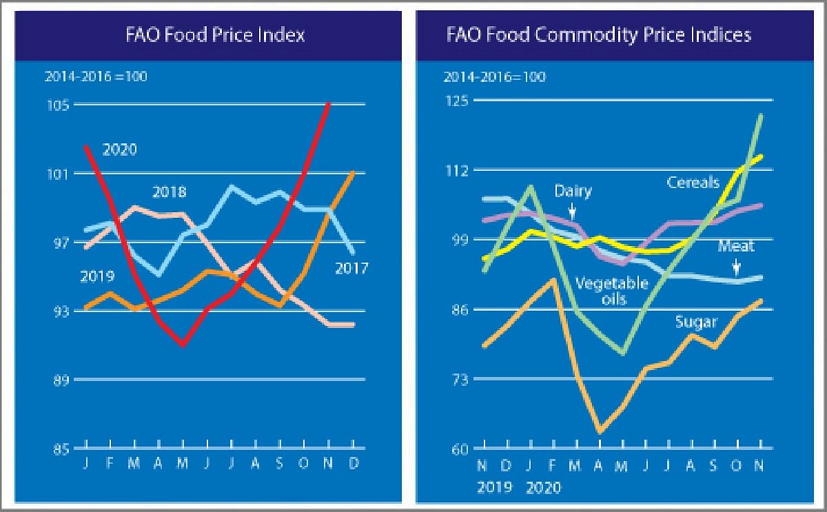 FAO Food Price Index registered a sharp rise in November to its highest level in nearly six years FAO Food Price Index registered a sharp rise in November to its highest level in nearly six years