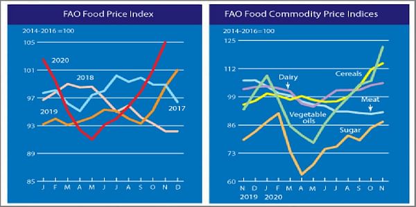FAO Food Price Index registered a sharp rise in November to its highest level in nearly six years