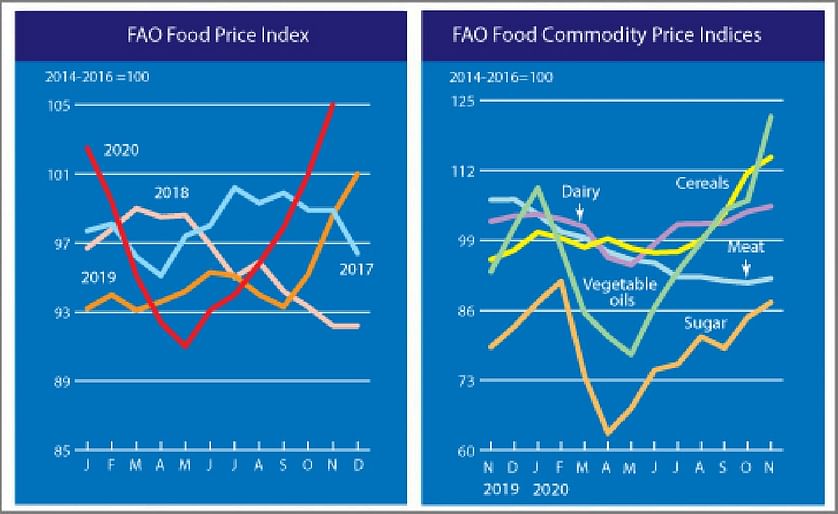 FAO Food Price Index registered a sharp rise in November to its highest level in nearly six years
