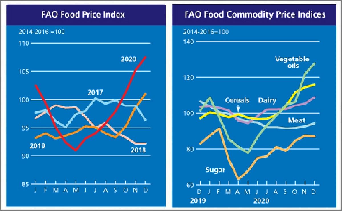 FAO Food Price Index hits a three-year high in 2020, following additional gains in December