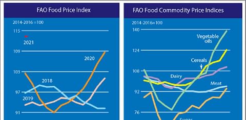 Another surge in the value of FAO Food Price Index in January