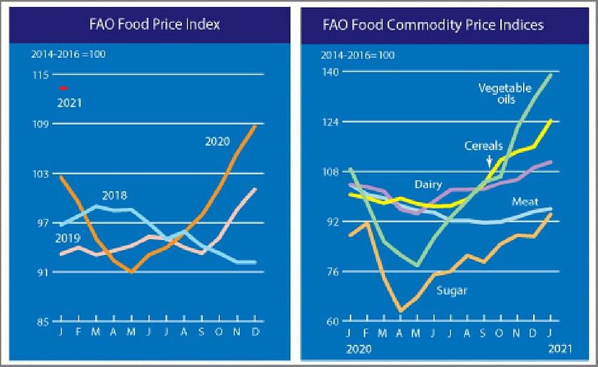 Another surge in the value of FAO Food Price Index in January