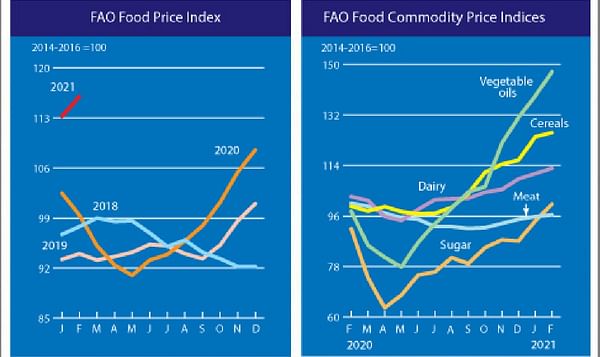 FAO Food Price Index rising for nine straight months