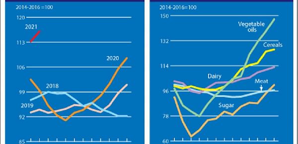 FAO Food Price Index rising for nine straight months