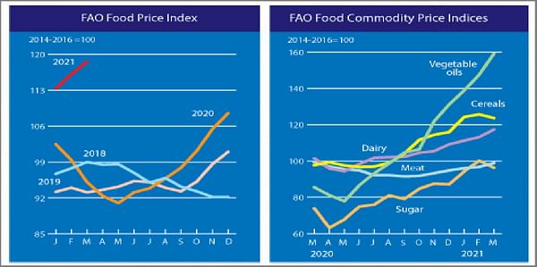FAO Food Price Index rising for tenth straight month