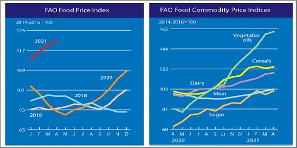 The FAO Food Price Index continues to rise unabated.