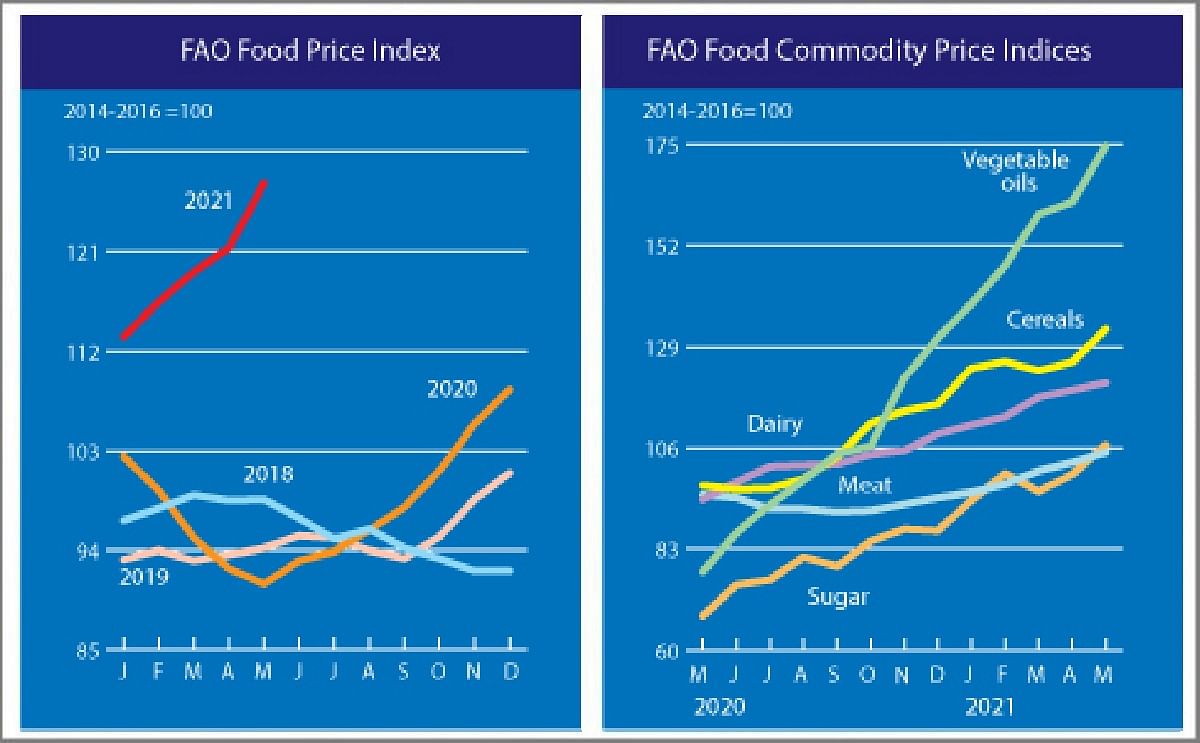 May registered a sharp increase in the value of the FAO Food Price Index. May registered a sharp increase in the value of the FAO Food Price Index.