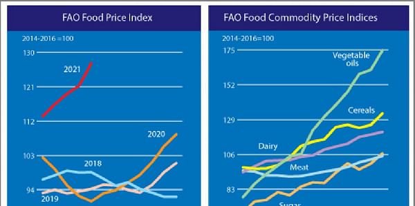 May registered a sharp increase in the value of the FAO Food Price Index.