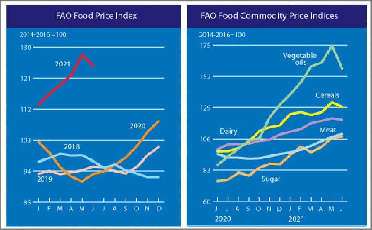 After twelve months of consecutive rise, the FAO Food Price Index fell in June. After twelve months of consecutive rise, the FAO Food Price Index fell in June.