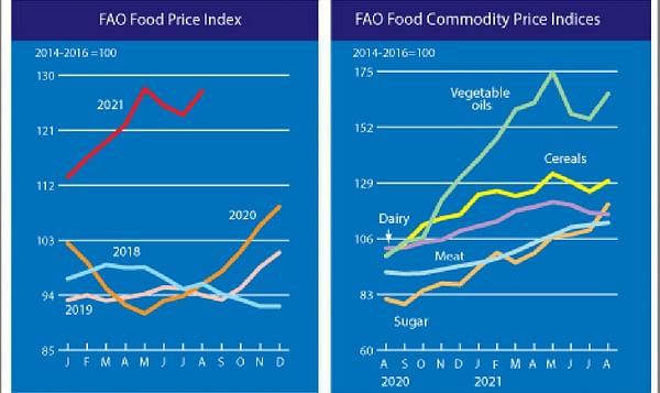 The FAO Food Price Index rebounded rapidly in August.