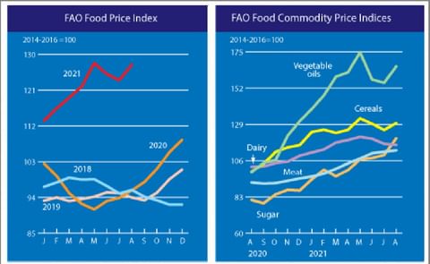 The FAO Food Price Index rebounded rapidly in August. The FAO Food Price Index rebounded rapidly in August.