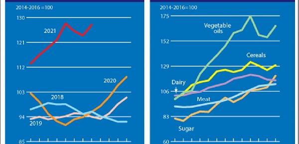 The FAO Food Price Index rebounded rapidly in August.