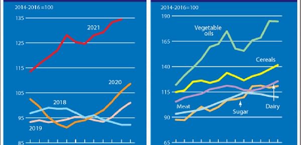 November marked a further increase in the value of the FAO Food Price Index.