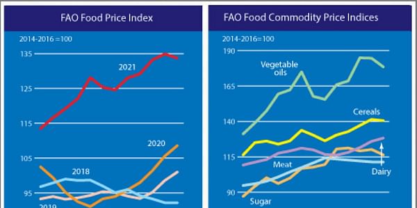 The FAO Food Price Index reaches a 10-year high in 2021.