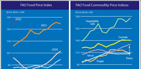 FAO Food Price Index rebounded in January.