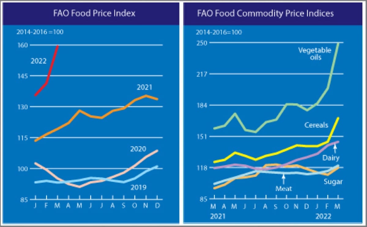 The FAO Food Price Index makes a giant leap to another all-time high in March. The FAO Food Price Index makes a giant leap to another all-time high in March.
