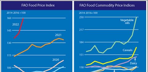 The FAO Food Price Index makes a giant leap to another all-time high in March.