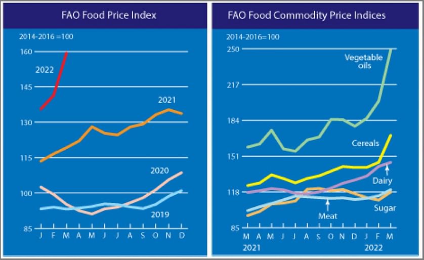 The FAO Food Price Index makes a giant leap to another all-time high in March.