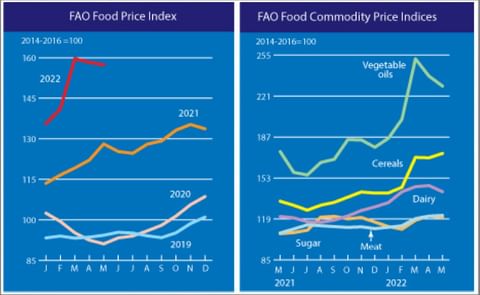 The FAO Food Price Index fell for the second consecutive month in May. The FAO Food Price Index fell for the second consecutive month in May.