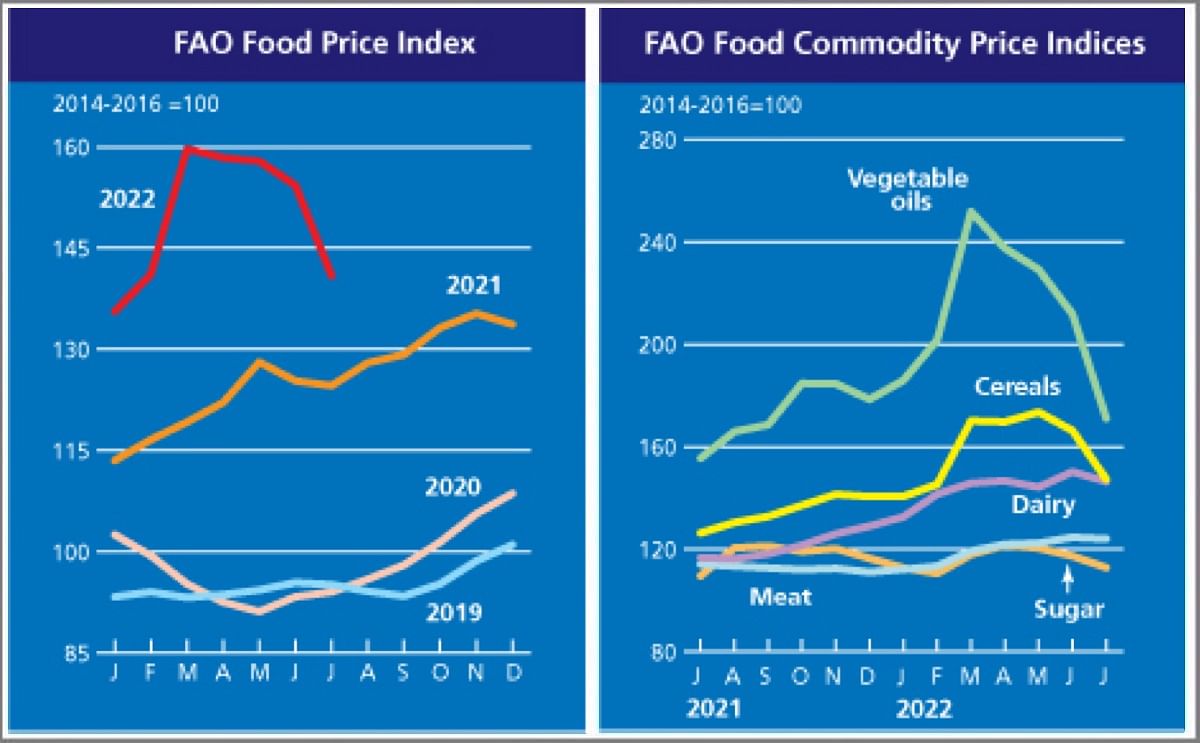 FAO Food Price Index registered a steep drop in July.