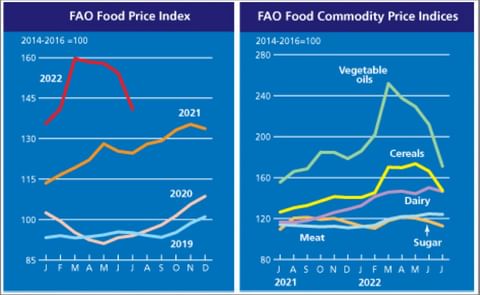 FAO Food Price Index registered a steep drop in July. FAO Food Price Index registered a steep drop in July.