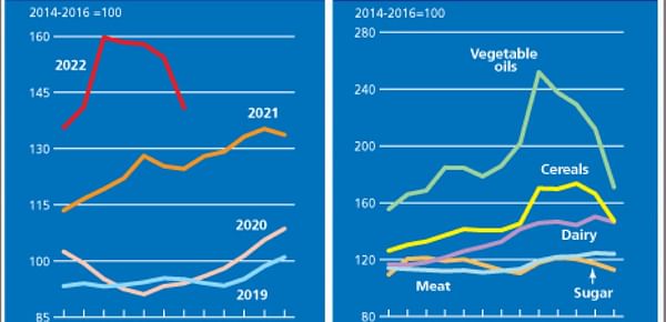 FAO Food Price Index registered a steep drop in July.