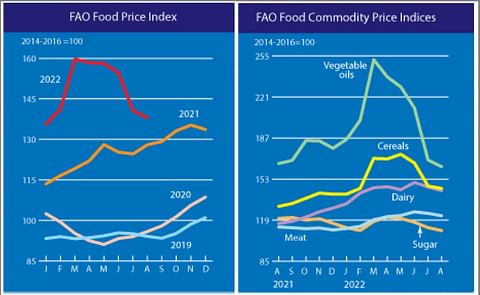 FAO Food Price Index drops for the fifth consecutive month in August. FAO Food Price Index drops for the fifth consecutive month in August.
