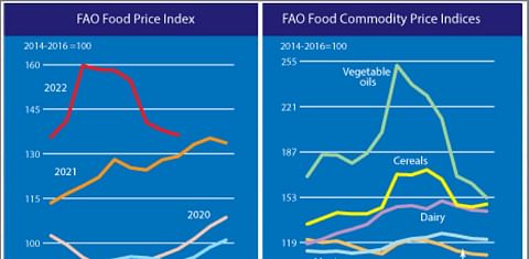 FAO Food Price Index drops for the sixth consecutive month