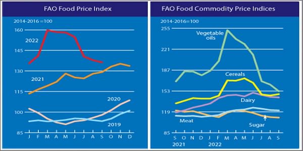 FAO Food Price Index drops for the sixth consecutive month