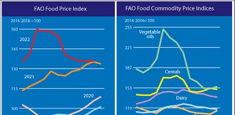 FAO Food Price Index Dec 2022