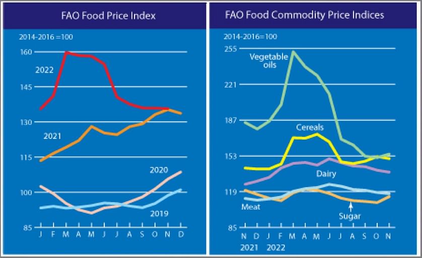 FAO Food Price Index Dic 2022