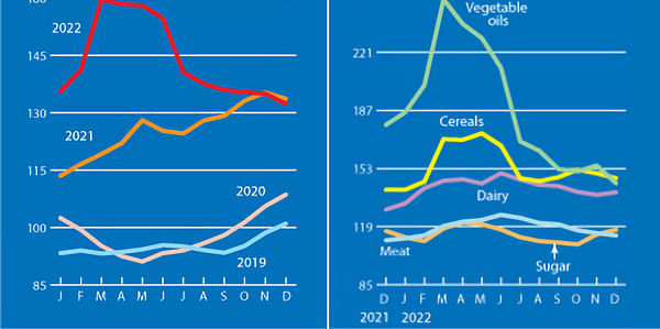 The FAO Food Price Index continued to drop in December 2022