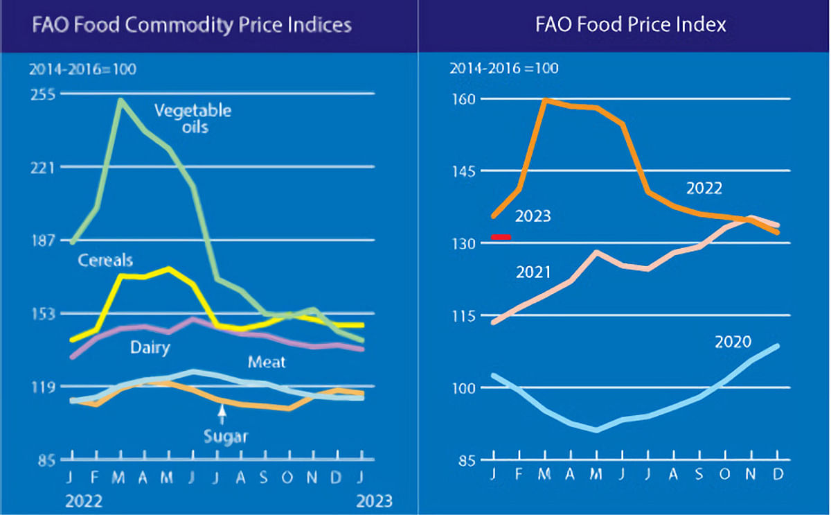 FAO Food Price Index continues to decline