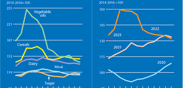 FAO Food Price Index continues to decline