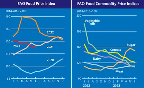 FAO Food Price Index continues to fall FAO Food Price Index continues to fall