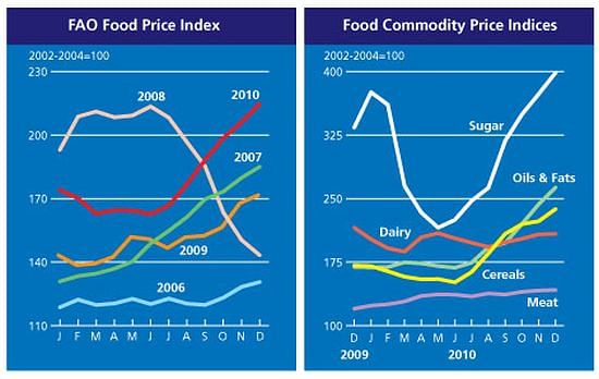 FAO World Food Price index 2011