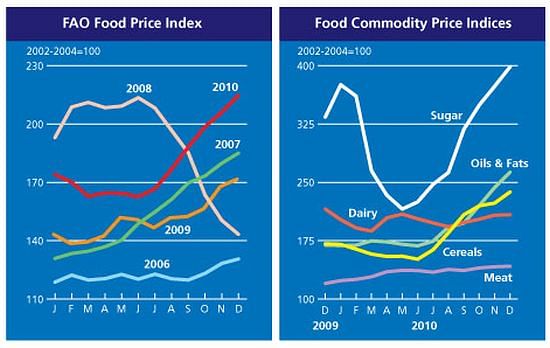 FAO World Food Price index January 2011 FAO World Food Price index 2011