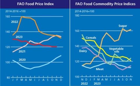 FAO Food Price Index overall unchanged in November FAO Food Price Index overall unchanged in November