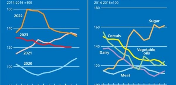 FAO Food Price Index overall unchanged in November