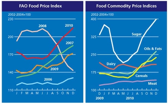 FAO Food price indices January 2011 FAO price indices