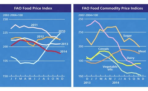 The FAO Food Price Index fell in December The FAO Food Price Index fell in December
