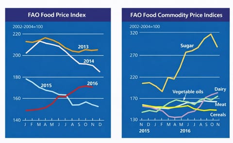The month-to-month small decline in November marked a departure from an almost uninterrupted rising trend in the food price Index since the start of 2016. The month-to-month small decline in November marked a departure from an almost uninterrupted rising trend in the food price Index since the start of 2016.