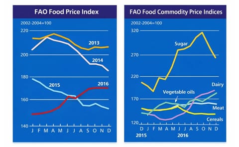 The FAO Food Price Index (FFPI) averaged almost 172 points in December 2016, unchanged from November with strong gains in the prices of vegetable oils and dairy largely offsetting a fall in sugar and meat quotations. The FAO Food Price Index (FFPI) averaged almost 172 points in December 2016, unchanged from November with strong gains in the prices of vegetable oils and dairy largely offsetting a fall in sugar and meat quotations.