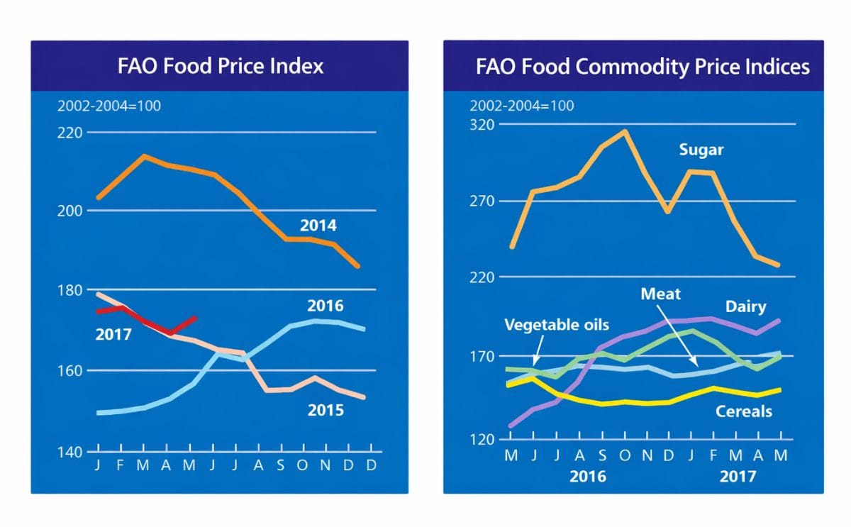 After three months of declining food prices, the FAO Food price index increased in May.