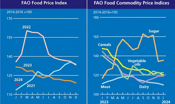 FAO Food Price fell further in January mainly on lower wheat and maize prices