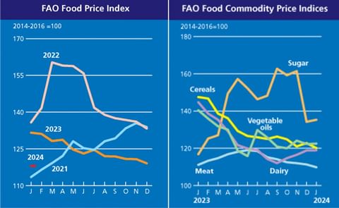 FAO Food Price fell further in January mainly on lower wheat and maize prices FAO Food Price fell further in January mainly on lower wheat and maize prices
