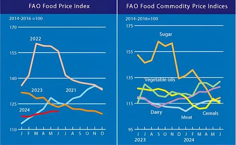 FAO June 2024 FAO June 2024